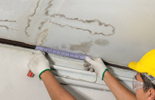 Reliable Water Damage contractor in Salt Lake City, UT by Water Damage Irwin